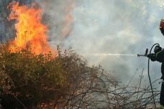 Πρόεδρος Ομοσπονδίας Πυροσβεστών: Έχουμε γερασμένο προσωπικό και γερασμένο στόλο