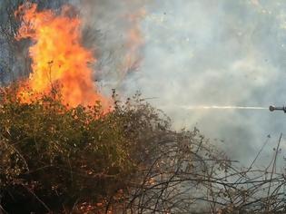 Φωτογραφία για Πρόεδρος Ομοσπονδίας Πυροσβεστών: Έχουμε γερασμένο προσωπικό και γερασμένο στόλο