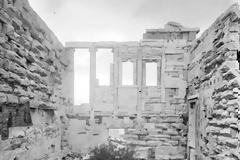 Σύμφωνα με την μυθολογία η θεά Αθηνά έδωσε μια ήμερη ελιά στους Αθηναίους η οποία αναπτύχθηκε στο βράχο της Ακρόπολης δίπλα στο Ερέχθειο.