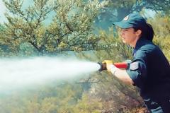 Αιτήσεις και δικαιολογητικά για τον διαγωνισμό της Πυροσβεστικής 3.400 θέσεις για εποχικούς και 600 για ιδιώτες