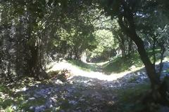 Μονοπάτι προς την κορυφή του Προφήτη Ηλία - βιντεο