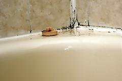 Έπιασε μούχλα στο μπάνιο σας; Δείτε πώς θα απαλλαγείτε από αυτήν με ένα απλό κόλπο