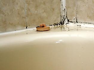 Φωτογραφία για Έπιασε μούχλα στο μπάνιο σας; Δείτε πώς θα απαλλαγείτε από αυτήν με ένα απλό κόλπο