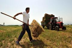 Ρύθμιση οφειλών για αγρότες: Ελάχιστη δόση τα 30 ευρώ και κούρεμα των προσαυξήσεων κατά 100%