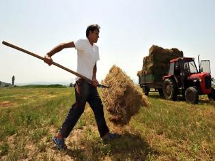 Φωτογραφία για Ρύθμιση οφειλών για αγρότες: Ελάχιστη δόση τα 30 ευρώ και κούρεμα των προσαυξήσεων κατά 100%