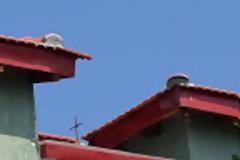 12002 - Στο εξωκκλήσι του Ευγνώμονος Ληστού την Κυριακή του Θωμά