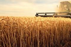 Τα 9 επαγγέλματα που φέρνουν πολλά χρήματα και δεν χρειάζονται πτυχίο [λίστα]