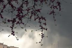 Φθινοπωρινό το σκηνικό του καιρού με πτώση της θερμοκρασίας και βροχές - Αναλυτική πρόγνωση