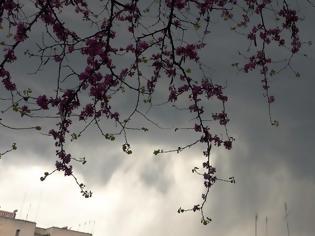 Φωτογραφία για Φθινοπωρινό το σκηνικό του καιρού με πτώση της θερμοκρασίας και βροχές - Αναλυτική πρόγνωση
