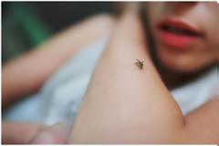 Οχτώ κόλπα για να μην σας τσιμπήσει φέτος ούτε ένα κουνούπι!