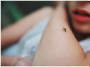 Φωτογραφία για Οχτώ κόλπα για να μην σας τσιμπήσει φέτος ούτε ένα κουνούπι!