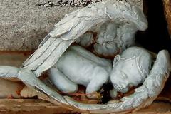 Περιγεννητικό πένθος: Η διαχείριση της απώλειας εμβρύου ή νεογέννητου μωρού