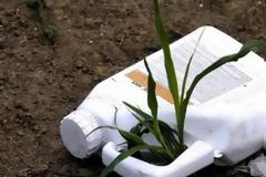 Σε κρίσιμη κατάσταση 32χρονος από το Ξηρόμερο- αποπειράθηκε να αυτοκτονήσει με φυτοφάρμακο!