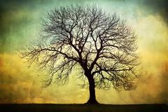 Απλοί Στίχοι