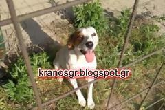 ''Ο Τάκης της 193 MLRS''