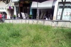 Γρεβενά, η πράσινη πόλη. Τόσο πράσινη που υπάρχουν δύο πιθανότητες.. -(Γράφει αναγνώστης)