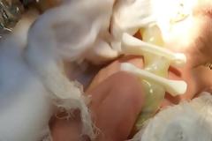 Γυναίκα γέννησε στα διόδια Λεπτοκαρυάς με τη βοήθεια ΕΚΑΒ και Τροχαίας