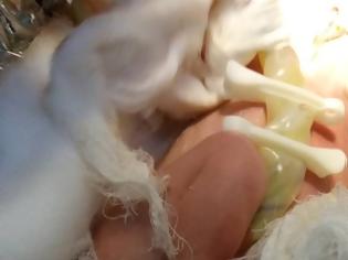 Φωτογραφία για Γυναίκα γέννησε στα διόδια Λεπτοκαρυάς με τη βοήθεια ΕΚΑΒ και Τροχαίας