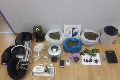 Συνελήφθη 25χρονος ημεδαπός για κατοχή-εμπορία κάνναβης και υδροπονική καλλιέργεια