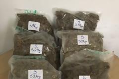 Ρόδος : Τον μύρισε ο σκύλος να κουβαλά ναρκωτικά