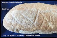 Βρέθηκε η αρχαιότερη επιγραφή σε πέτρα της Μεγάλης Ελλάδος - Είναι ελληνική (αχαϊκή), του 7ου αι. π.Χ. και αναφέρεται στον Ηρακλή!