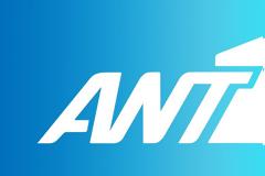 «Άγριες Μέλισσες»: Κάθε πότε θα προβάλλεται;