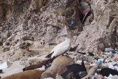 ΟΗΕ: Συμφωνία 180 χωρών για τη μείωση των πλαστικών