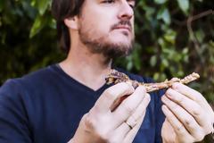 Γιατί οι άνδρες τρώνε πολύ κρέας;