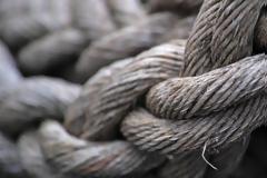 Κρεμάστηκε 24χρονος - Τον βρήκε ο πατέρας του νεκρό