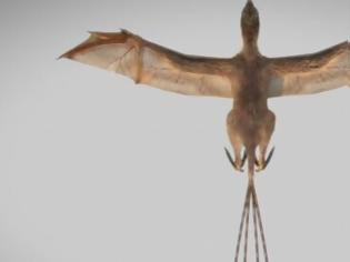 Φωτογραφία για Ανακαλύφθηκε δεινόσαυρος με φτερά νυχτερίδας