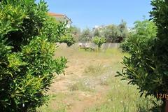 ΑΡΤΕΜΙΔΑ: ΠΩΛΕΙΤΑΙ ΟΙΚΟΠΕΔΟ ΑΡΤΙΟ ΟΙΚΟΔΟΜΗΣΙΜΟ