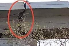 Για τεράστια ρωγμή στη γέφυρα του Φαληρικού Δέλτα προειδοποιεί ο Ακης Τσελέντης