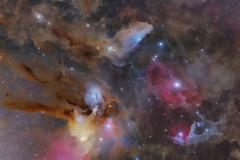 Rho Ophiuchi Wide Field