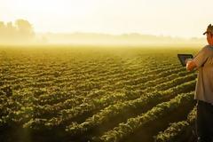 Παράταση μέχρι 15 Ιουνίου στην προθεσμία υποβολής δηλώσεων ΟΣΔΕ 2019