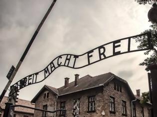 Φωτογραφία για Ενταφιάστηκαν 70 χρόνια μετά λείψανα θυμάτων των ναζιστικών πειραμάτων