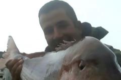 Ψάρεψε συναγρίδα 15,5 κιλών με... πετονιά και... καρούλι!