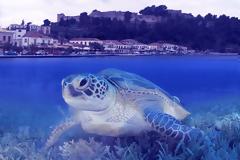 Πρόταση ΔΩΡΑΣ ΜΟΣΧΟΝΑ για δημιουργία Κέντρου Διάσωσης Θαλάσσιων Χελωνών στη Βόνιτσα