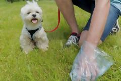 Πρόστιμο σε όσους δεν μαζεύουν τις ακαθαρσίες του σκύλου τους από δρόμους και πάρκα