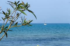 Αρναούτογλου: Τέλος η κακοκαιρία, θερμή εισβολή έως και την Τρίτη