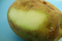 Μπορούμε να καταναλώσουμε πατάτες που έχουν λίγο πρασινίσει;