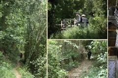 12052 - Φωτογραφίες της Ιεράς Μονής Ζωγράφου και της διαδρομής Βατοπαίδι - Ζωγράφου, από το μονοπάτι.