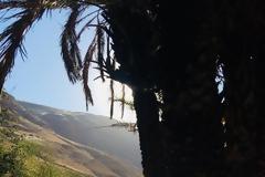 Κύριε, βρέξον εις την καρδίαν μου την δρόσον της χάριτός σου.