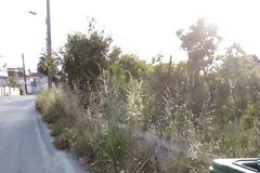 Αυτή είναι η κατάντια... της Κρεμαστής - φωτος