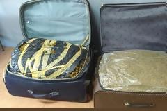 Ιωάννινα: Σύλληψη 26χρονου για εισαγωγή ναρκωτικών