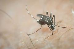 Οδηγίες προστασίας από τον ιό του Δυτικού Νείλου- Ορατός ο κίνδυνος επιδημίας