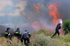 Αντιπυρικός Σχεδιασμός 2019: Υποδεέστερος των επιχειρησιακών απαιτήσεων, ελλιπής και με σοβαρά λάθη