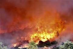 Οι Θέσεις της ΕΑΠΣ στην Δημόσια διαβούλευση του Νομοσχεδίου για την Πολιτική Προστασία της Χώρας