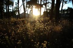 Καιρός: Θερμές αέριες μάζες φέρνουν 30αρια από Δευτέρα