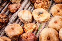 Τι συμβαίνει όταν κάθεται μια μύγα στο φαγητό μας..