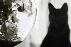 Το απολεσθέν ένστικτο του ανθρώπου